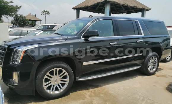 Buy Import Cadillac Escalade White Car in Lome in Togo Buy Import Cadillac Escalade White Car in Lome in Togo