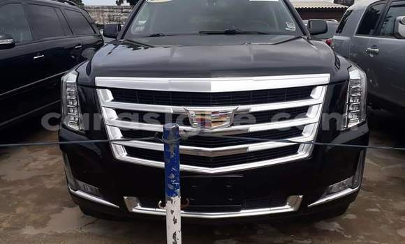 Buy Import Cadillac Escalade White Car in Lome in Togo Buy Import Cadillac Escalade White Car in Lome in Togo
