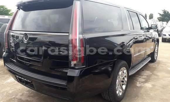 Buy Import Cadillac Escalade White Car in Lome in Togo Buy Import Cadillac Escalade White Car in Lome in Togo
