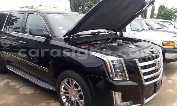 Buy Import Cadillac Escalade White Car in Lome in Togo Buy Import Cadillac Escalade White Car in Lome in Togo
