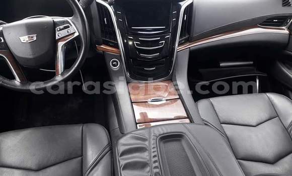 Buy Import Cadillac Escalade White Car in Lome in Togo Buy Import Cadillac Escalade White Car in Lome in Togo