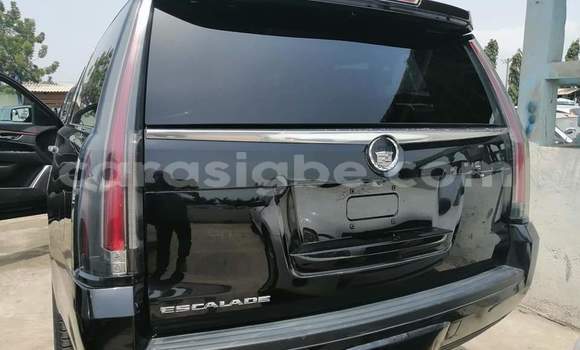 Buy Import Cadillac Escalade White Car in Lome in Togo Buy Import Cadillac Escalade White Car in Lome in Togo
