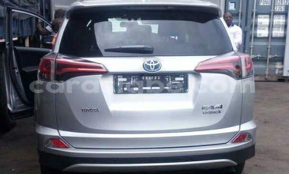 Buy New Toyota RAV4 Brown Car in Lome in Togo Buy New Toyota RAV4 Brown Car in Lome in Togo