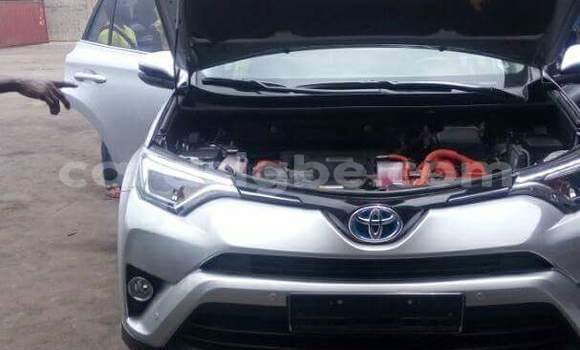 Buy New Toyota RAV4 Brown Car in Lome in Togo Buy New Toyota RAV4 Brown Car in Lome in Togo