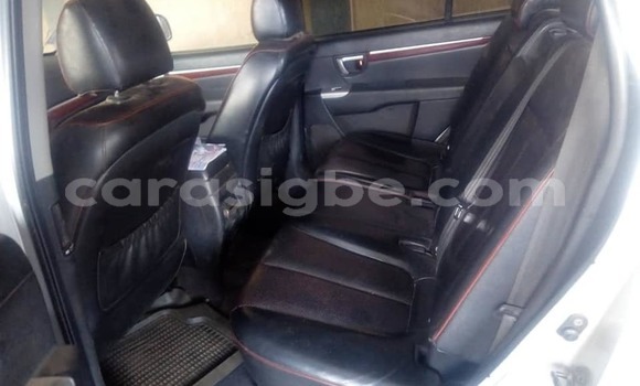 Acheter Occasion Voiture Hyundai Santa Fe Gris à Lomé, Togo Acheter Occasion Voiture Hyundai Santa Fe Gris à Lomé, Togo