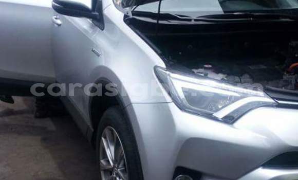 Buy New Toyota RAV4 Brown Car in Lome in Togo Buy New Toyota RAV4 Brown Car in Lome in Togo