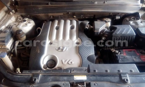 Acheter Occasion Voiture Hyundai Santa Fe Gris à Lomé, Togo Acheter Occasion Voiture Hyundai Santa Fe Gris à Lomé, Togo