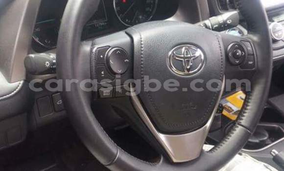 Buy New Toyota RAV4 Brown Car in Lome in Togo Buy New Toyota RAV4 Brown Car in Lome in Togo