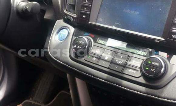 Buy New Toyota RAV4 Brown Car in Lome in Togo Buy New Toyota RAV4 Brown Car in Lome in Togo