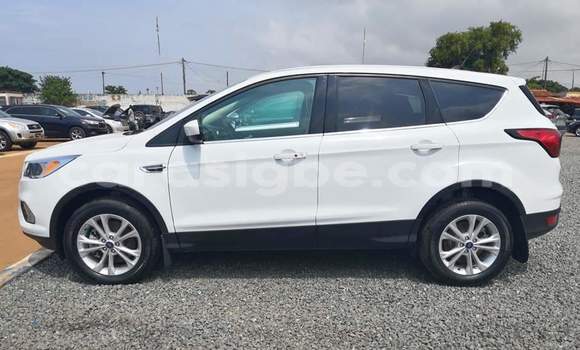 Buy Import Ford Escape White Car in Lome in Togo Buy Import Ford Escape White Car in Lome in Togo