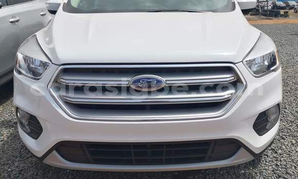 Buy Import Ford Escape White Car in Lome in Togo Buy Import Ford Escape White Car in Lome in Togo