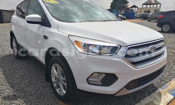 Buy Import Ford Escape White Car in Lome in Togo Buy Import Ford Escape White Car in Lome in Togo