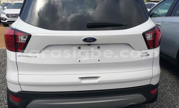 Buy Import Ford Escape White Car in Lome in Togo Buy Import Ford Escape White Car in Lome in Togo