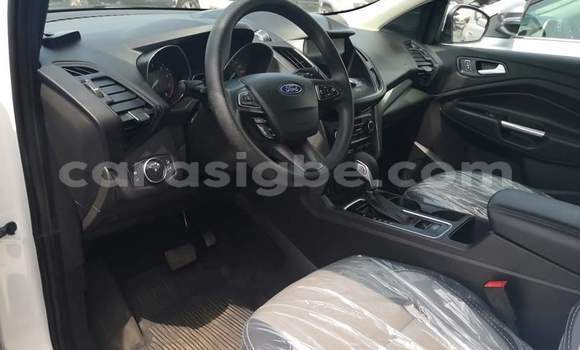 Buy Import Ford Escape White Car in Lome in Togo Buy Import Ford Escape White Car in Lome in Togo