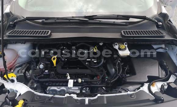 Buy Import Ford Escape White Car in Lome in Togo Buy Import Ford Escape White Car in Lome in Togo