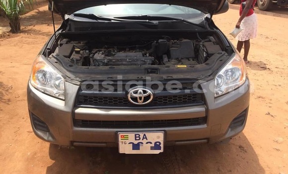 Buy Used Toyota RAV4 Brown Car in Lome in Togo Buy Used Toyota RAV4 Brown Car in Lome in Togo