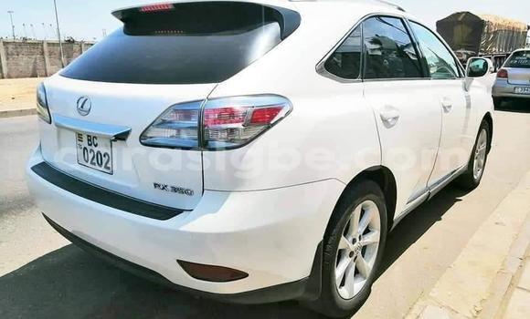 Buy Used Lexus RX 350 White Car in Lome in Togo Buy Used Lexus RX 350 White Car in Lome in Togo