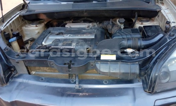 Acheter Occasion Voiture Hyundai Tucson Beige à Lomé, Togo Acheter Occasion Voiture Hyundai Tucson Beige à Lomé, Togo