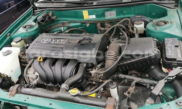 Buy Used Toyota Corolla Green Car in Lome in Togo Buy Used Toyota Corolla Green Car in Lome in Togo