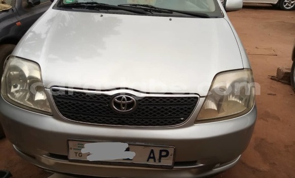 Acheter Occasion Voiture Toyota Corolla Gris à Lomé, Togo Acheter Occasion Voiture Toyota Corolla Gris à Lomé, Togo