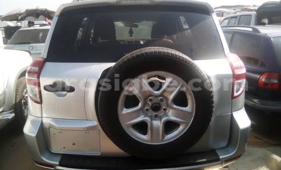 Buy Used Toyota RAV4 Silver Car in Adawlato in Togo Buy Used Toyota RAV4 Silver Car in Adawlato in Togo