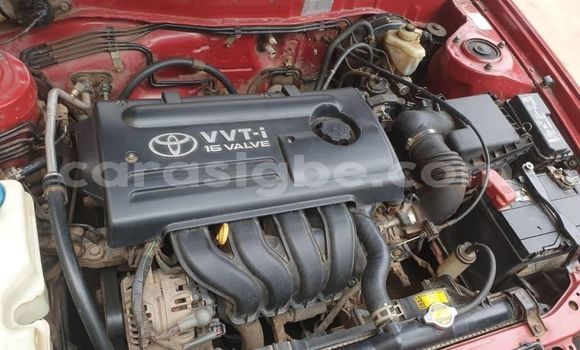 Buy Used Toyota Corolla Red Car in Adawlato in Togo Buy Used Toyota Corolla Red Car in Adawlato in Togo