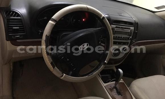 Acheter Occasion Voiture Hyundai Tucson Beige à Lomé, Togo Acheter Occasion Voiture Hyundai Tucson Beige à Lomé, Togo