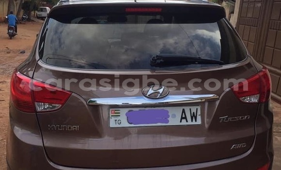 Buy Used Hyundai Tucson Brown Car in Adawlato in Togo Buy Used Hyundai Tucson Brown Car in Adawlato in Togo