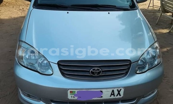 Buy Used Toyota Corolla Silver Car in Adawlato in Togo Buy Used Toyota Corolla Silver Car in Adawlato in Togo