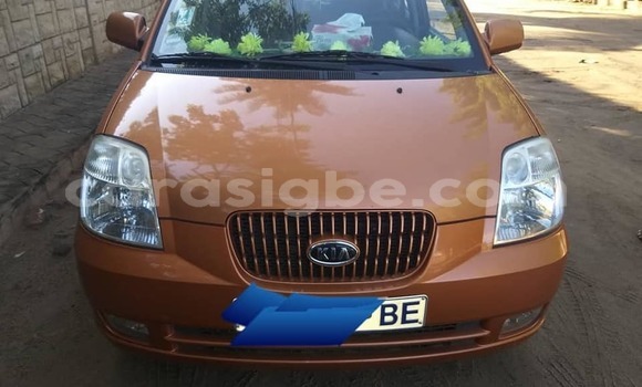 Buy Used Kia Picanto Brown Car in Adawlato in Togo Buy Used Kia Picanto Brown Car in Adawlato in Togo