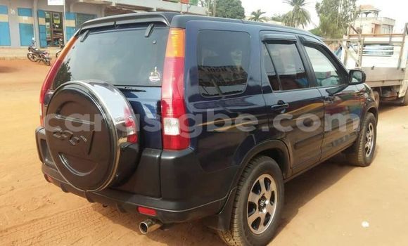 Buy Used Honda CR–V Blue Car in Adawlato in Togo Buy Used Honda CR–V Blue Car in Adawlato in Togo