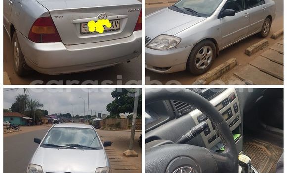 Buy Used Toyota Corolla Silver Car in Lome in Togo Buy Used Toyota Corolla Silver Car in Lome in Togo