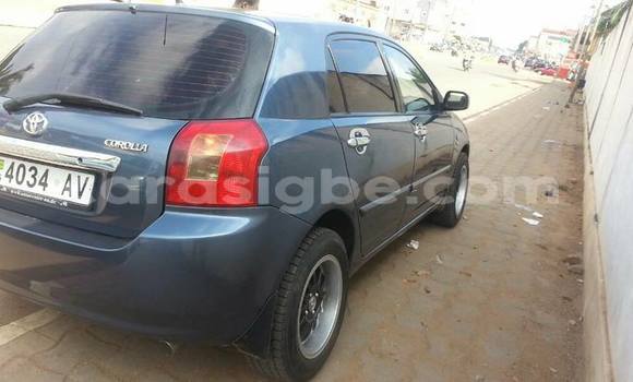 Buy Used Toyota Corolla Other Car in Lome in Togo Buy Used Toyota Corolla Other Car in Lome in Togo