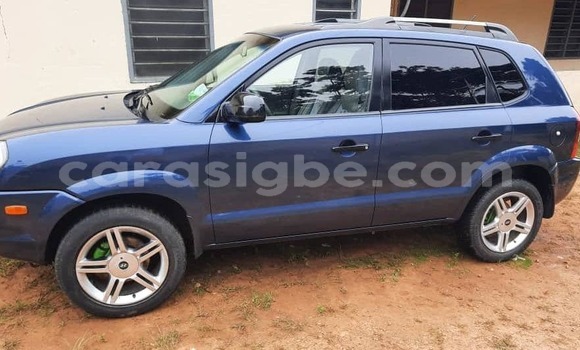 Acheter Occasion Voiture Hyundai Tucson Bleu à Adawlato, Togo Acheter Occasion Voiture Hyundai Tucson Bleu à Adawlato, Togo