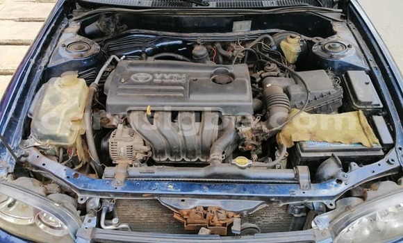 Buy Used Toyota Corolla Blue Car in Adawlato in Togo Buy Used Toyota Corolla Blue Car in Adawlato in Togo