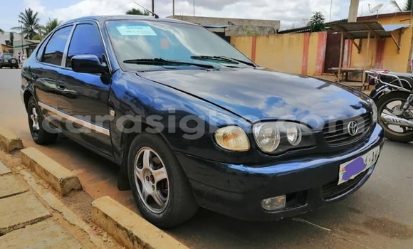 Buy Used Toyota Corolla Blue Car in Adawlato in Togo Buy Used Toyota Corolla Blue Car in Adawlato in Togo