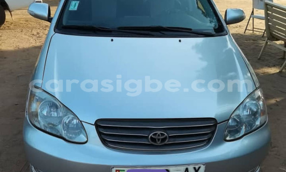 Acheter Occasion Voiture Toyota Corolla Gris à Adawlato, Togo Acheter Occasion Voiture Toyota Corolla Gris à Adawlato, Togo