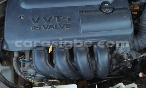 Acheter Occasion Voiture Toyota Corolla Gris à Adawlato, Togo Acheter Occasion Voiture Toyota Corolla Gris à Adawlato, Togo