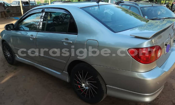 Acheter Occasion Voiture Toyota Corolla Gris à Adawlato, Togo Acheter Occasion Voiture Toyota Corolla Gris à Adawlato, Togo