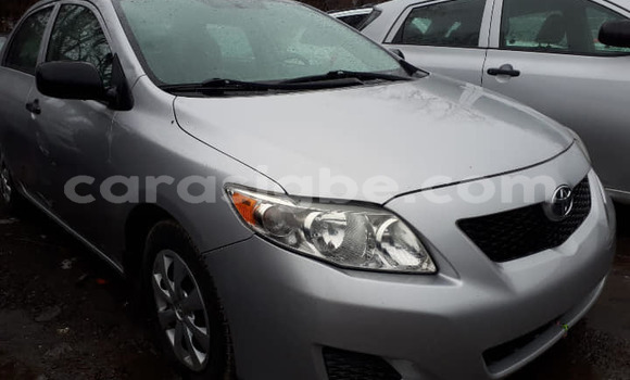Acheter Occasion Voiture Toyota Corolla Gris à Adawlato, Togo Acheter Occasion Voiture Toyota Corolla Gris à Adawlato, Togo