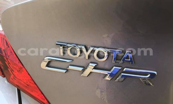 Acheter Occasion Voiture Toyota C-HR Gris à Lomé, Togo Acheter Occasion Voiture Toyota C-HR Gris à Lomé, Togo