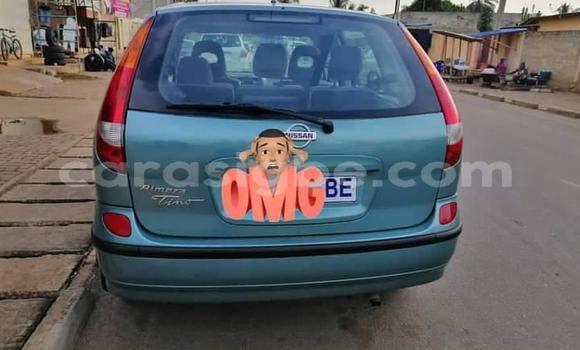 Acheter Occasion Voiture Nissan Almera Vert à Adawlato, Togo Acheter Occasion Voiture Nissan Almera Vert à Adawlato, Togo
