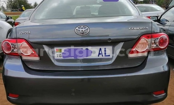 Buy Used Toyota Corolla Black Car in Lome in Togo Buy Used Toyota Corolla Black Car in Lome in Togo