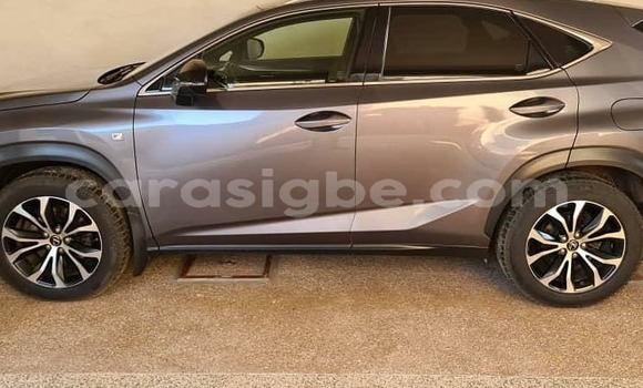 Acheter Neuf Voiture Lexus NX Gris à Lomé, Togo