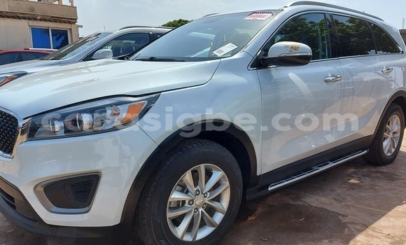 Acheter Occasion Voiture Kia Sportage Blanc à Lomé, Togo Acheter Occasion Voiture Kia Sportage Blanc à Lomé, Togo