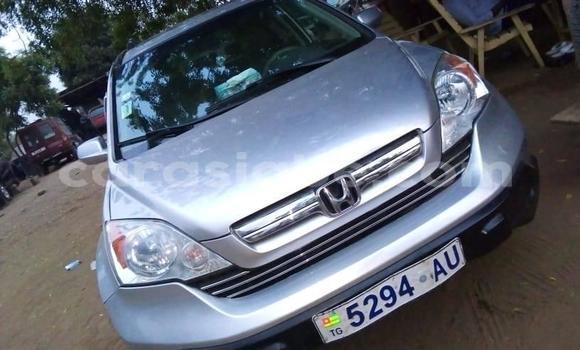 Buy Used Honda CR–V Silver Car in Adawlato in Togo Buy Used Honda CR–V Silver Car in Adawlato in Togo