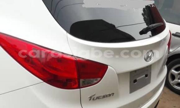 Buy Used Hyundai Tucson White Car in Lome in Togo Buy Used Hyundai Tucson White Car in Lome in Togo