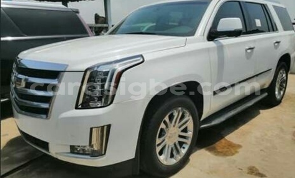 Acheter Import Voiture Cadillac Escalade Blanc à Lomé, Togo