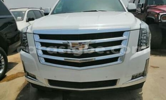Buy Import Cadillac Escalade White Car in Lome in Togo Buy Import Cadillac Escalade White Car in Lome in Togo