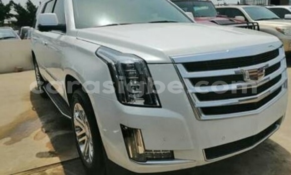 Buy Import Cadillac Escalade White Car in Lome in Togo Buy Import Cadillac Escalade White Car in Lome in Togo